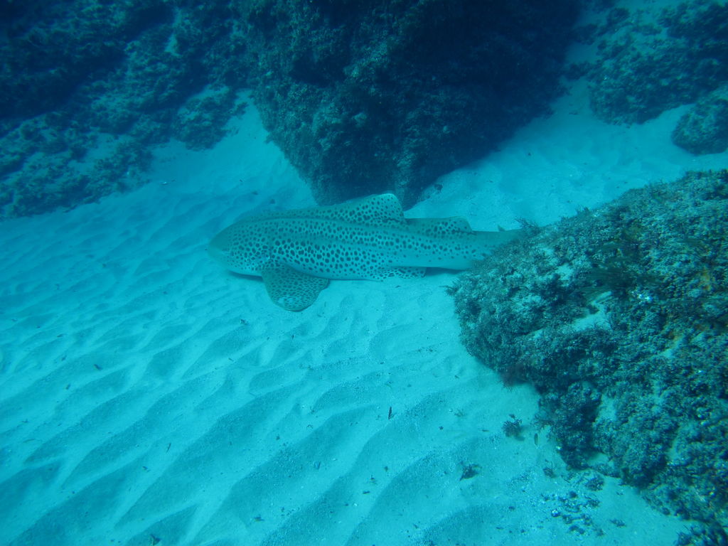 69fae4bb-8d4b-40fd-92d9-a3ecf3e741f9