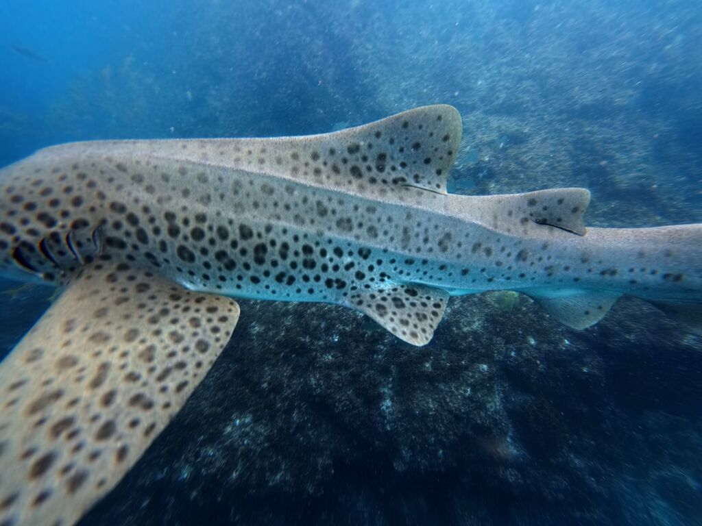 8fd3e5d7-59bb-4eae-aed1-ab9001fedea1