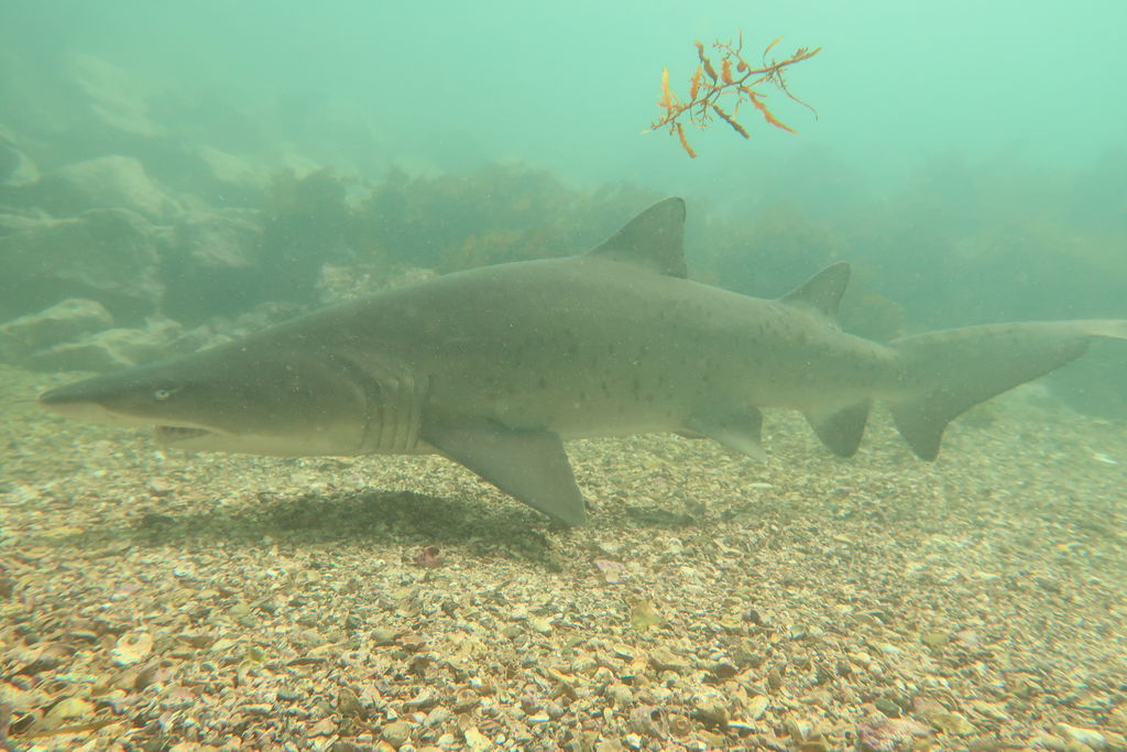 4c8c7576-f10f-4f72-8c92-8a9f4a95afdd