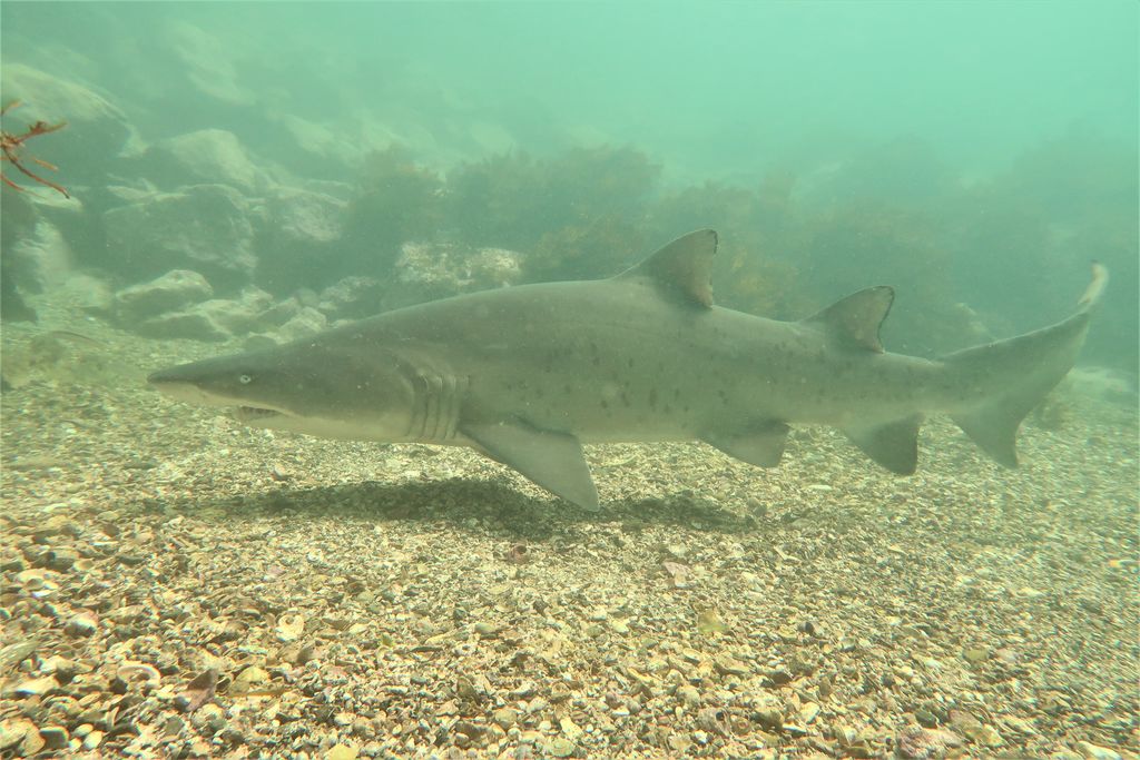 4c8c7576-f10f-4f72-8c92-8a9f4a95afdd