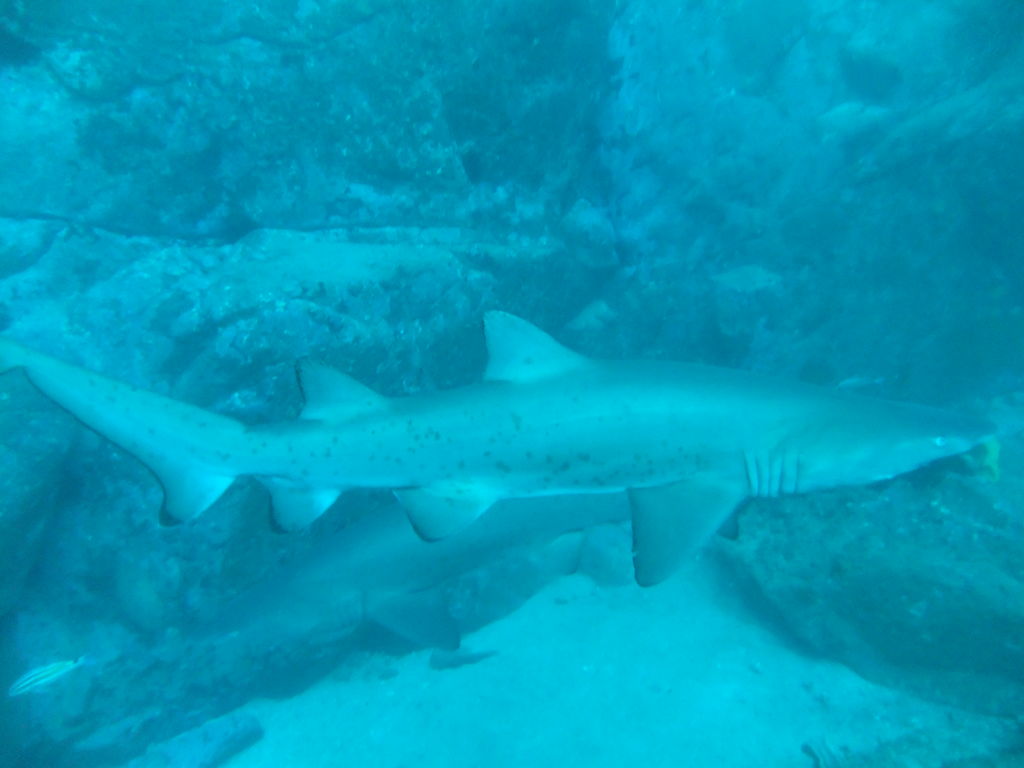 2e4a6fa8-931f-450a-9cb6-ddbbcdec5c1b