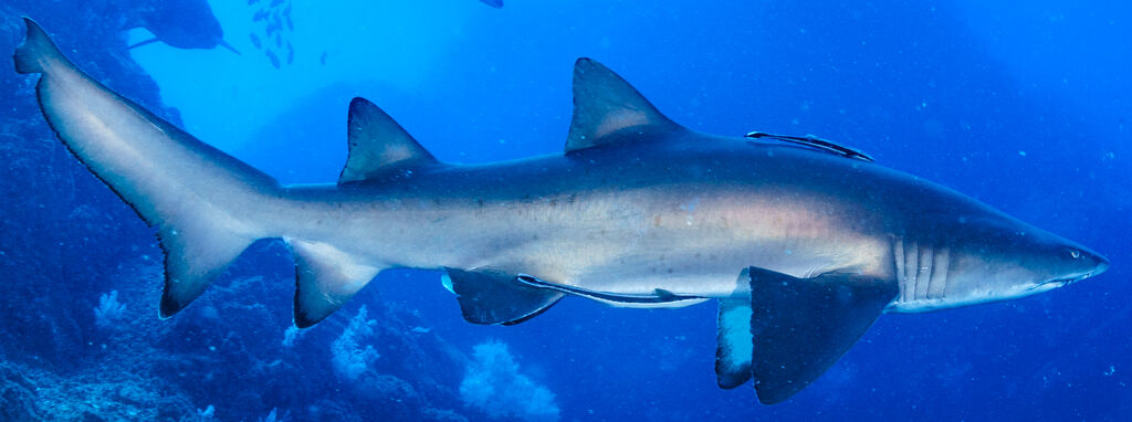 7bab540e-4383-498e-84fb-a1807d5c7470