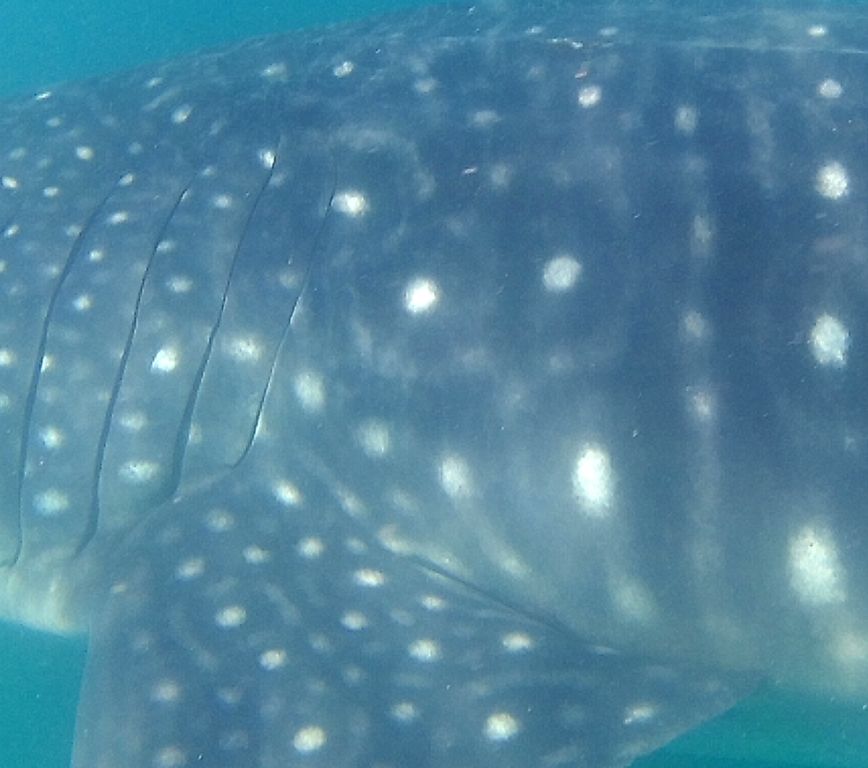 69167bff-253a-445a-bc0d-daaf0bd6fe16