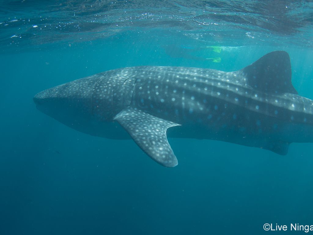 da61d791-3279-439c-b03b-d051e0627c9c