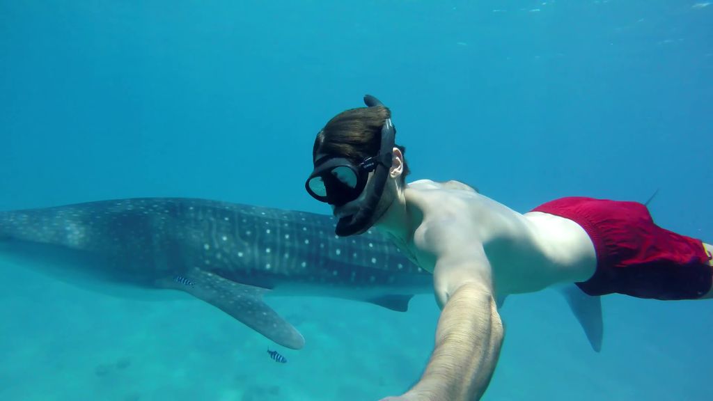 5718cb49-7f0b-4723-a459-16c79005974a