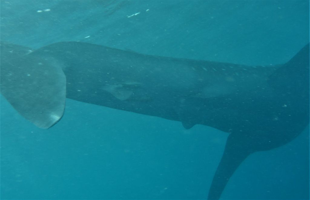 4d7dafdc-7ece-4eb1-bcc4-b913178d1448