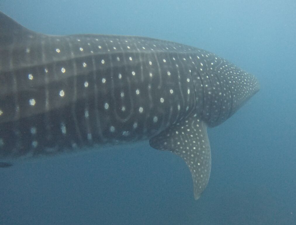 81bdab9c-5acd-484a-b713-ba8550740554