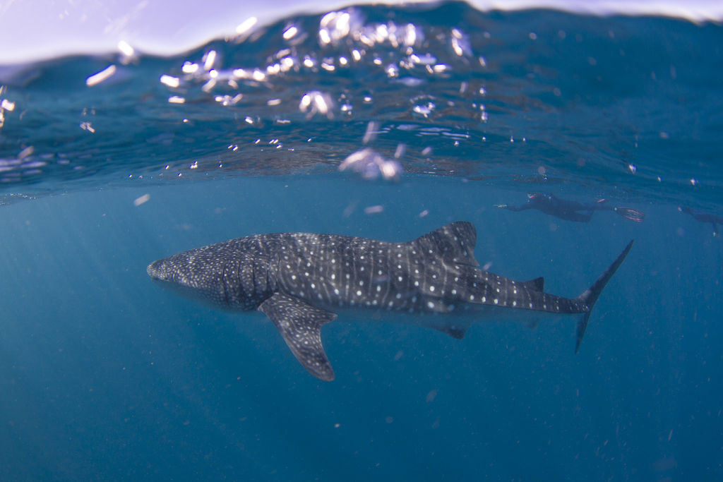 406374cd-f80f-4609-864e-9357d71e8dd6