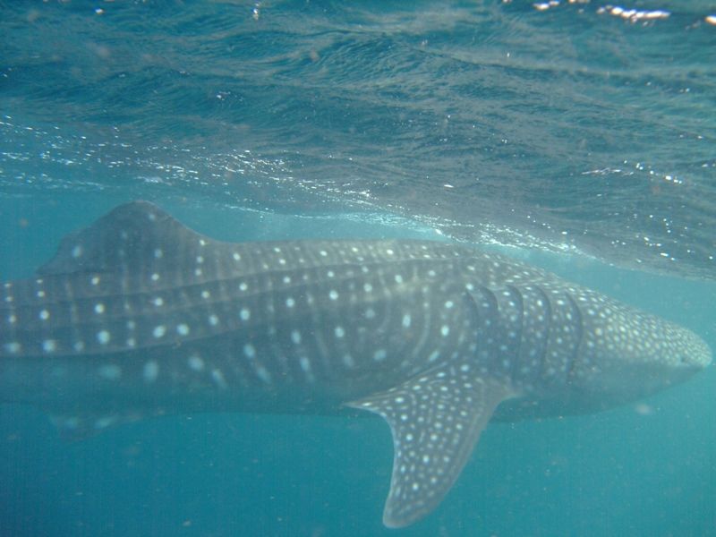 5a71739f-5d90-4175-a2ca-1d7d0717b936