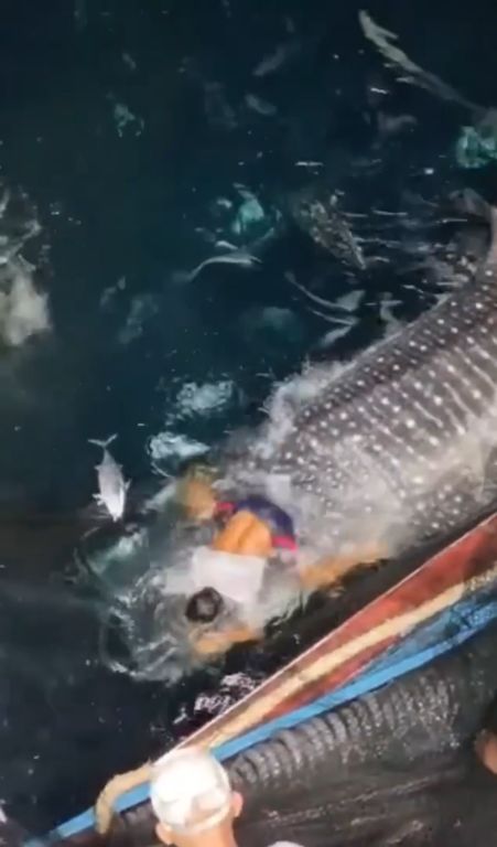 ee5c2772-2ba8-4831-a450-344f685ad3e4