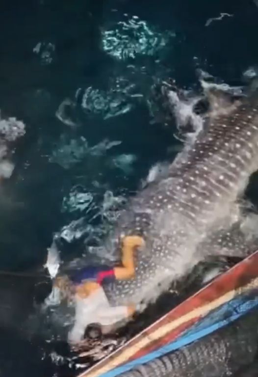 ee5c2772-2ba8-4831-a450-344f685ad3e4