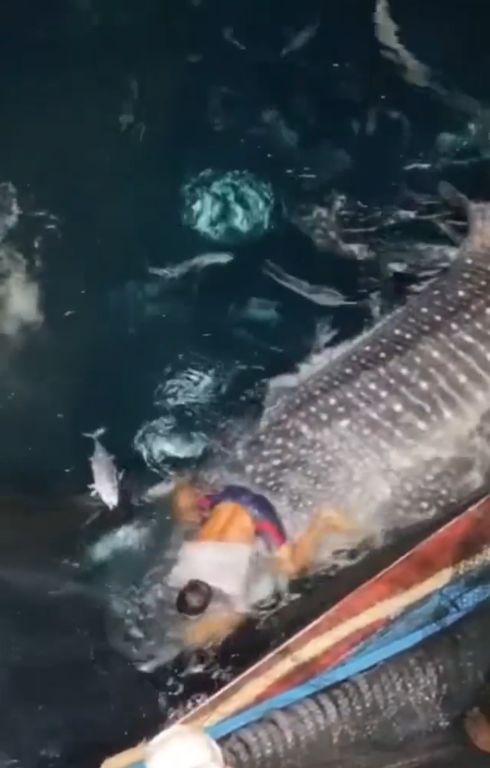 ee5c2772-2ba8-4831-a450-344f685ad3e4