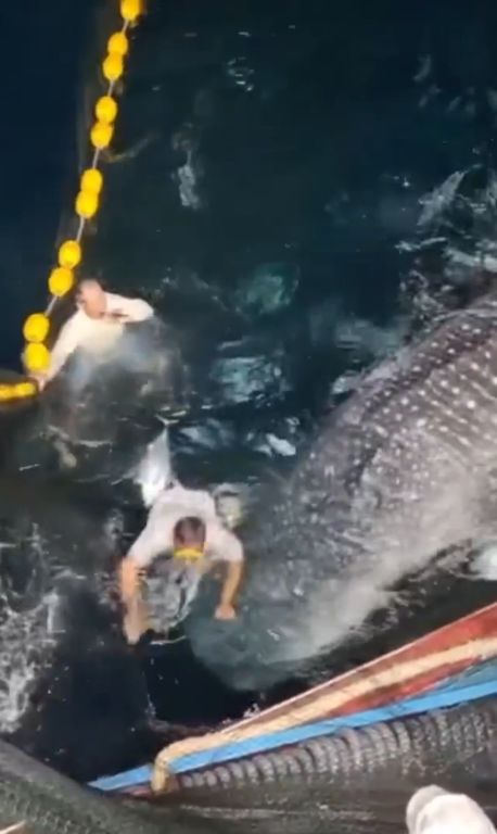 ee5c2772-2ba8-4831-a450-344f685ad3e4