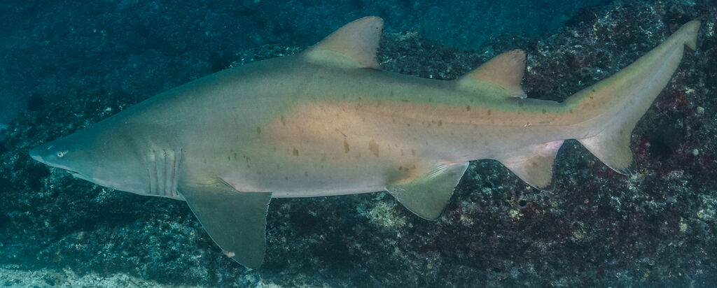 ac129150-b650-4db0-80e2-7dd58f2784aa