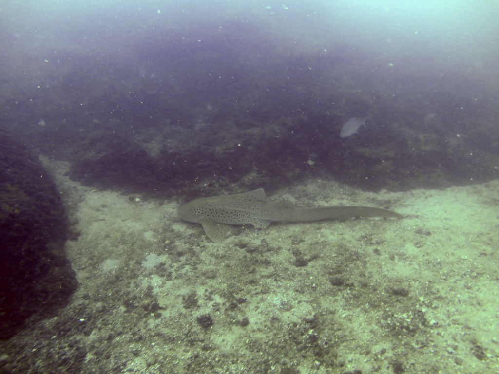 4f88ee21-6fb6-4e86-b05f-c01c48fa28db