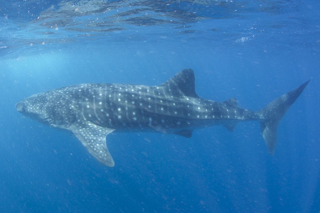 4c8d01e7-0448-4cd5-8bce-133f4ed1108a