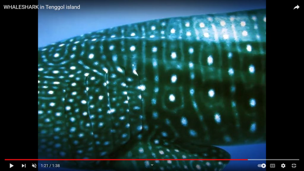 8ae24598-b8c3-41cf-9389-2aae68f6d425