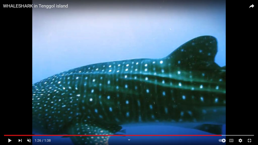 8ae24598-b8c3-41cf-9389-2aae68f6d425