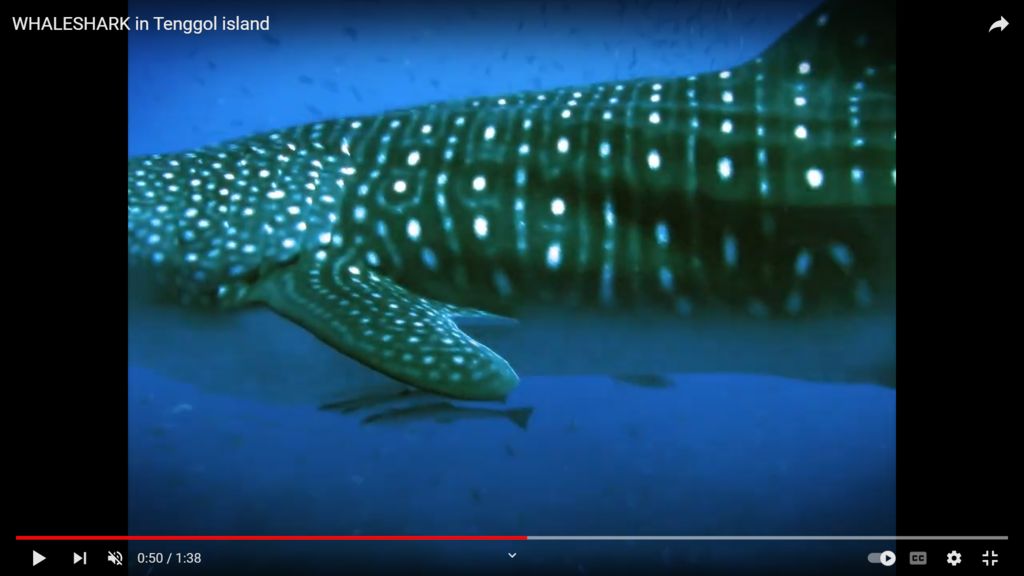 8ae24598-b8c3-41cf-9389-2aae68f6d425