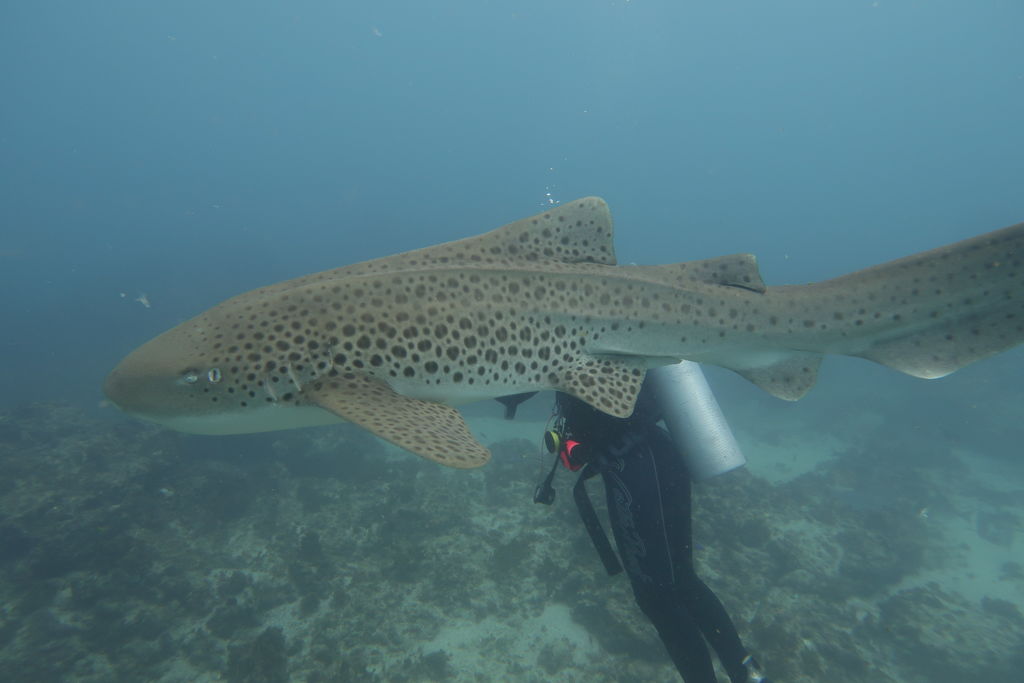 a8a27b58-d8a5-45bd-b2a0-c9a9b0756f02