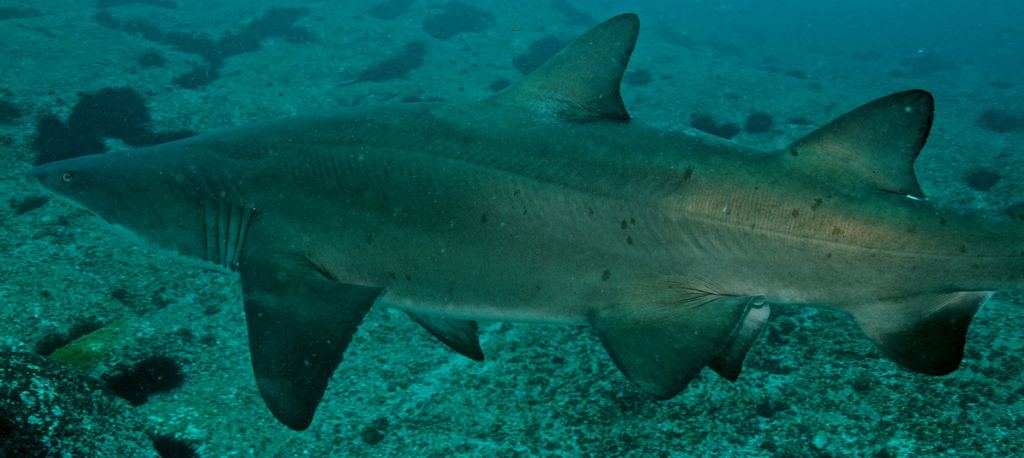 7b75fd5a-4eef-4f0d-86bd-e8c4460e164d