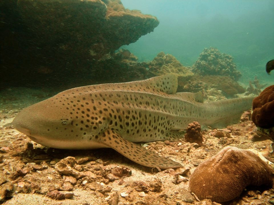 29f85aa6-da19-456f-a97c-5cfcf564913d