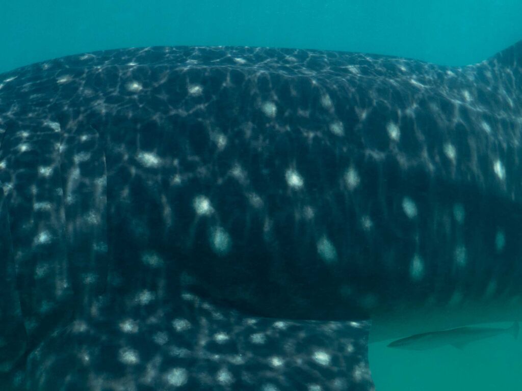 feb02b9d-399b-402b-a8a9-897de41f6e2d