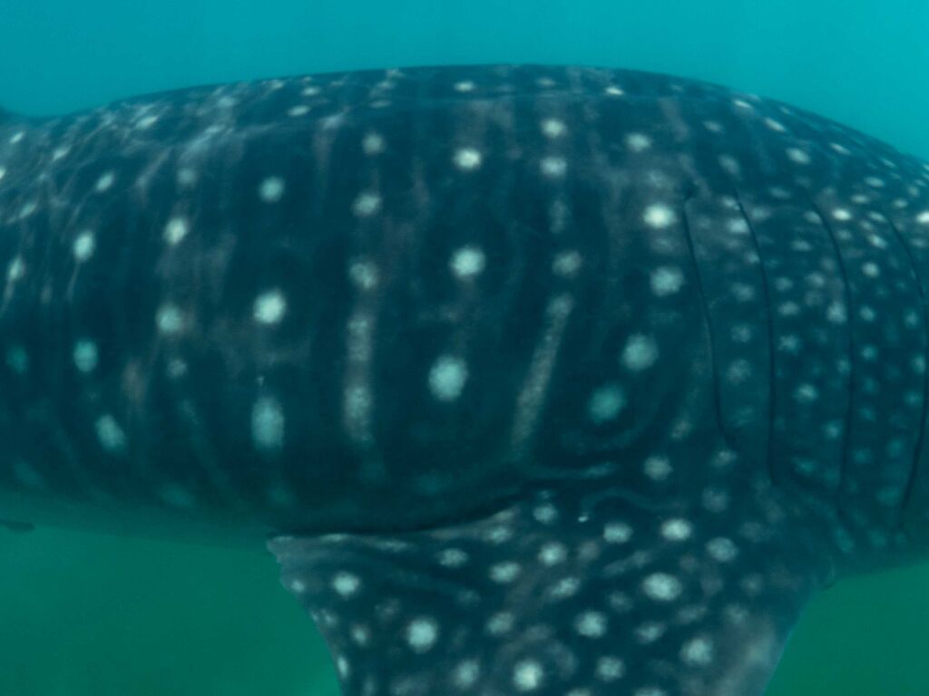 feb02b9d-399b-402b-a8a9-897de41f6e2d