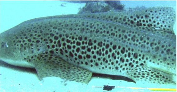 c3e68875-06aa-46eb-b65e-fee62c5fc117