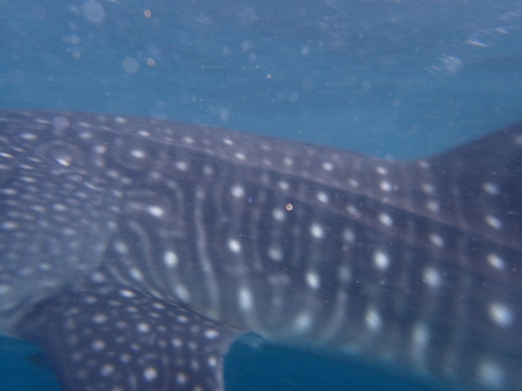 e296b140-971f-4fba-939b-9ed518f0a4f9