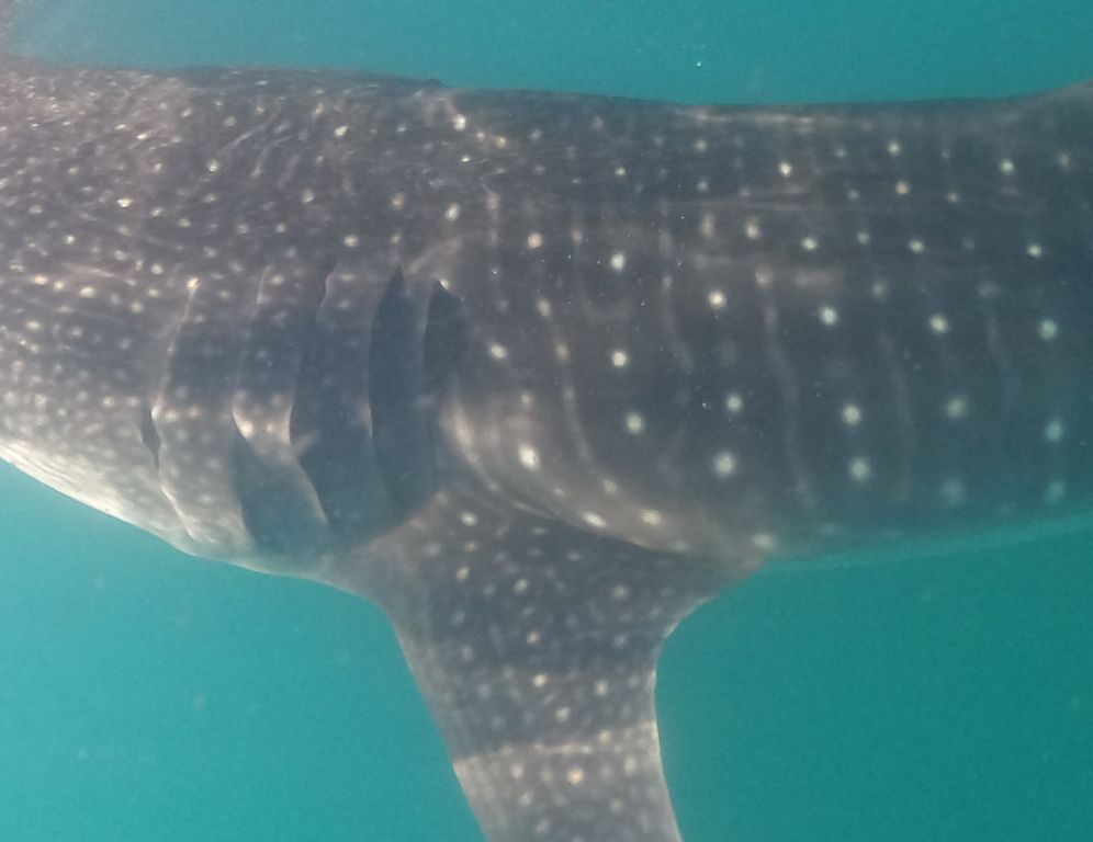 05041a8d-e07d-4126-937b-43852988566d