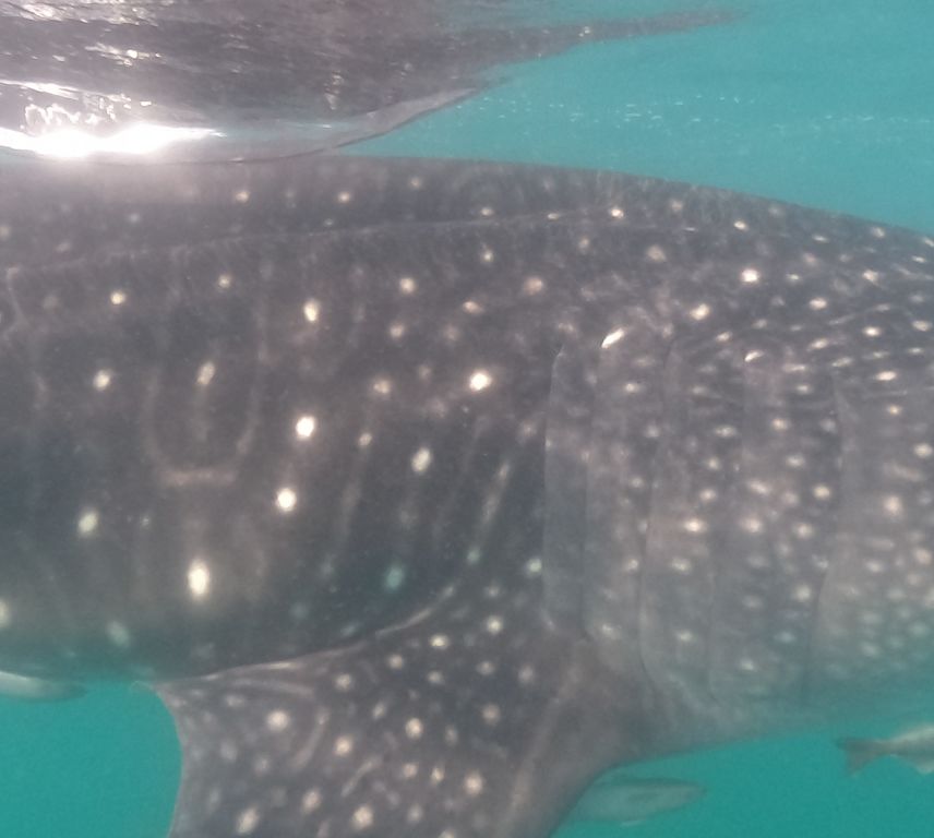 05041a8d-e07d-4126-937b-43852988566d