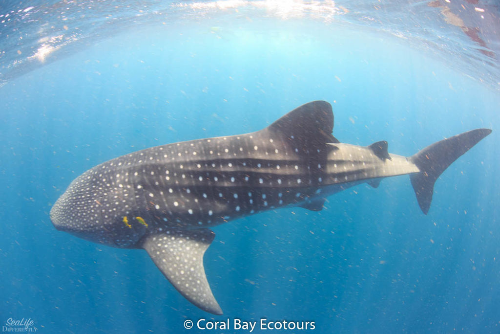 59aa8f5e-afff-43f1-aa66-b060678d7b2f