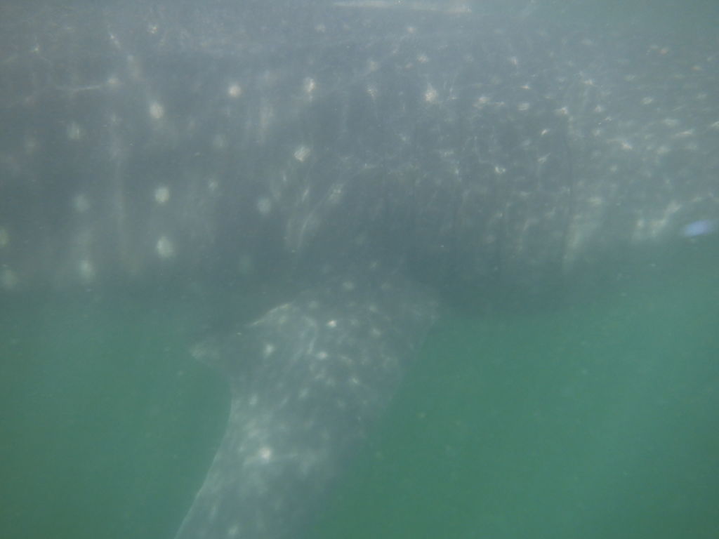 6429417e-9a81-47de-8571-9e9ff8a2dbc6