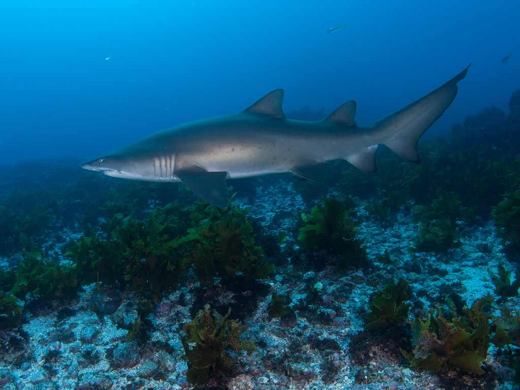 382e6550-9cac-441d-90a5-b3914d1f9b4c