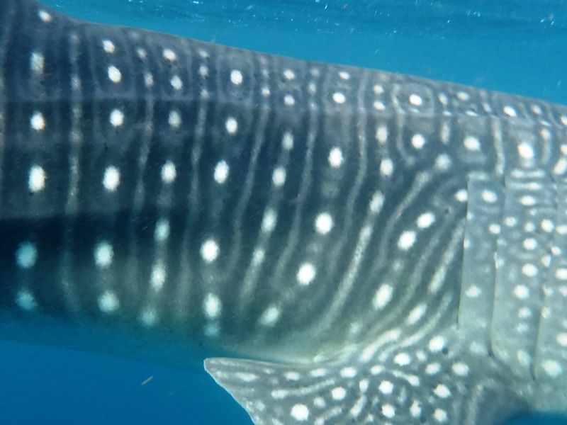 a8836d7b-037f-44dd-b30a-6a87ca04fd49