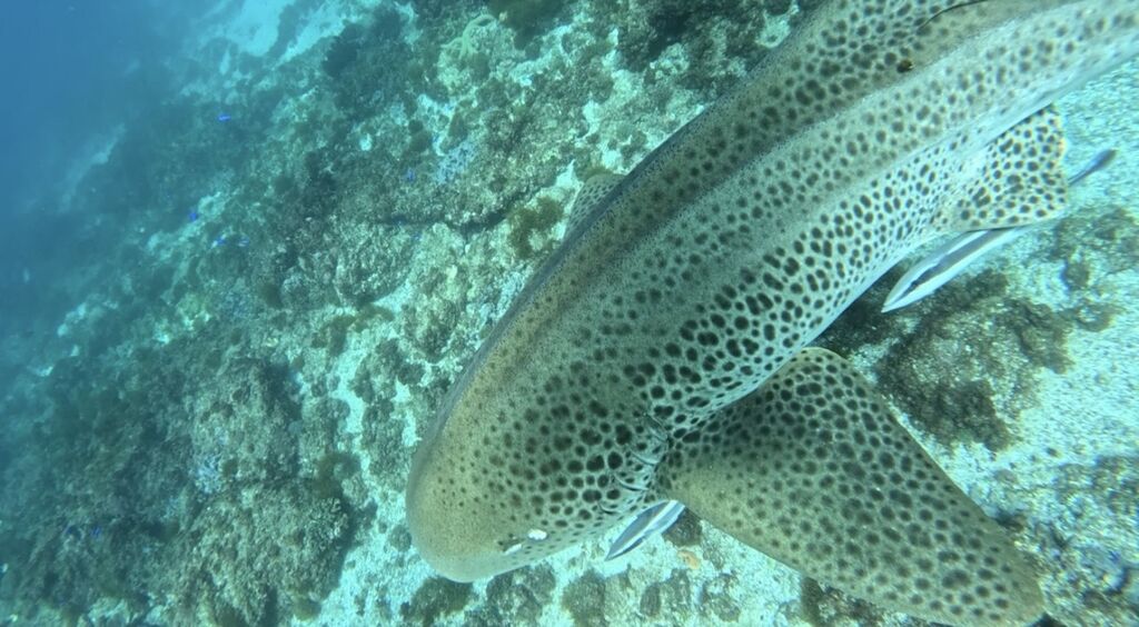 06e18980-f7f0-4b6d-9a3a-bd886e7a7ba6