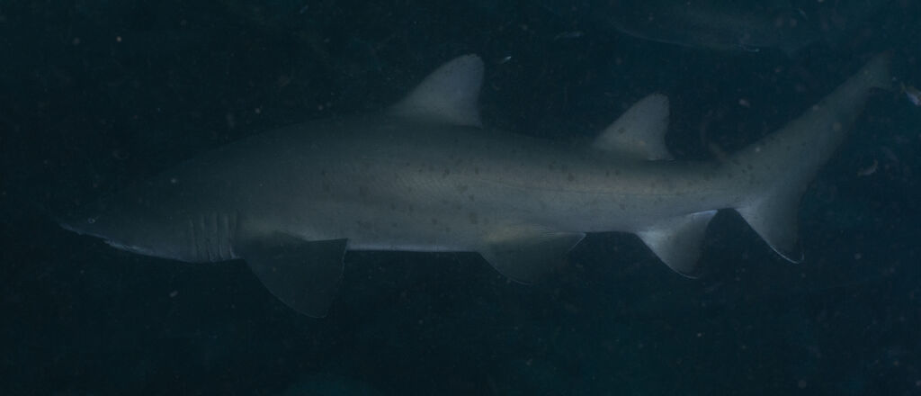 db2bb77a-1d10-41ad-ba06-79e49045cbe5