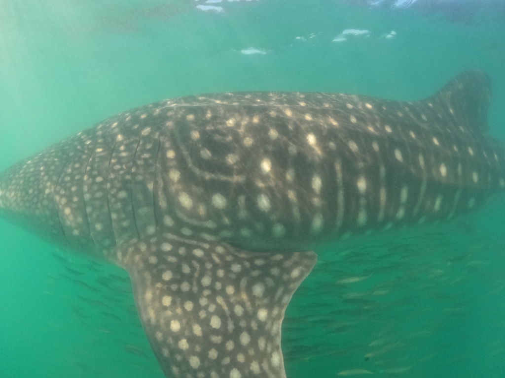 89553ad4-8919-43c1-a67d-42906d4436fc