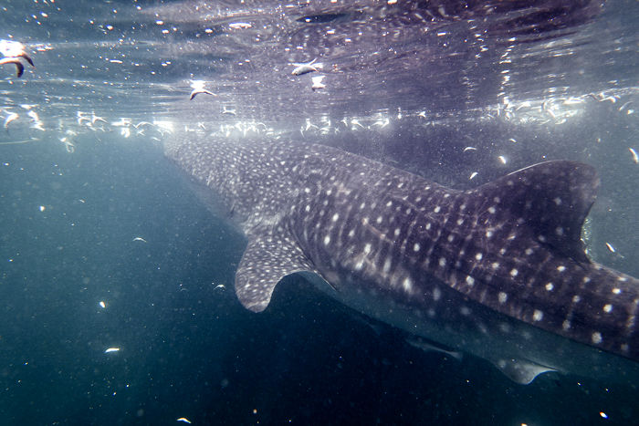 968c3033-80b4-4435-9688-f2cfcc9b7f9b