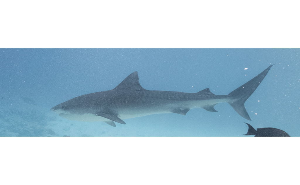 23a3b530-4a3c-4d03-bbfd-d5000d43eab5