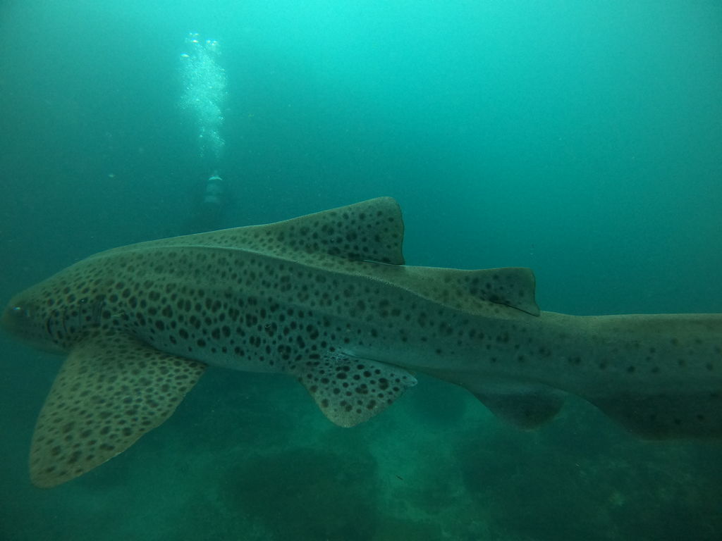 f0c4e632-4235-463a-8b6a-cdf61c20de40