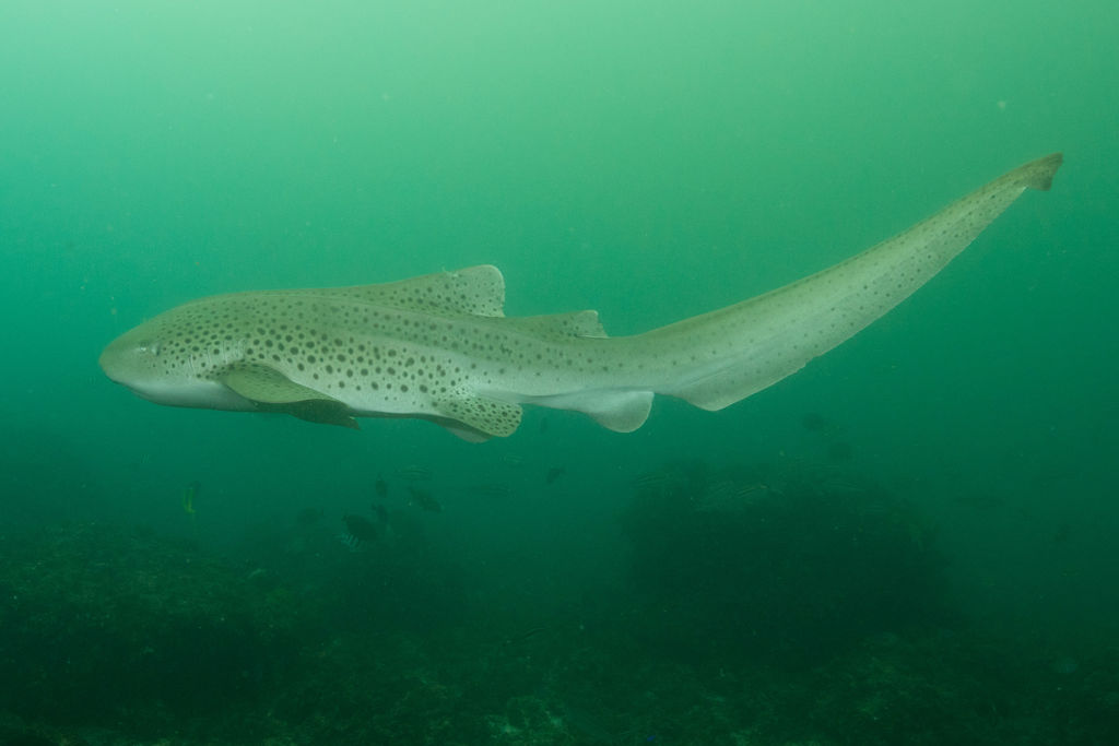 66767c8d-fc7a-44a3-a8ee-835d30b74de8