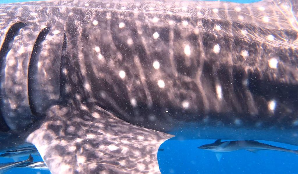 3dfc15ef-f37e-45f8-8745-ff998f702d9b