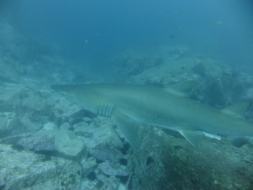 67c4dbec-0566-4806-bcc6-ba0efa1a4b0f