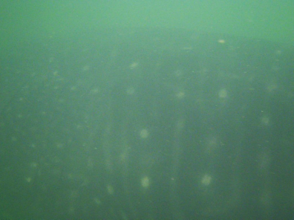 87cd52d5-f0f0-4964-ae43-b20edaae7e40