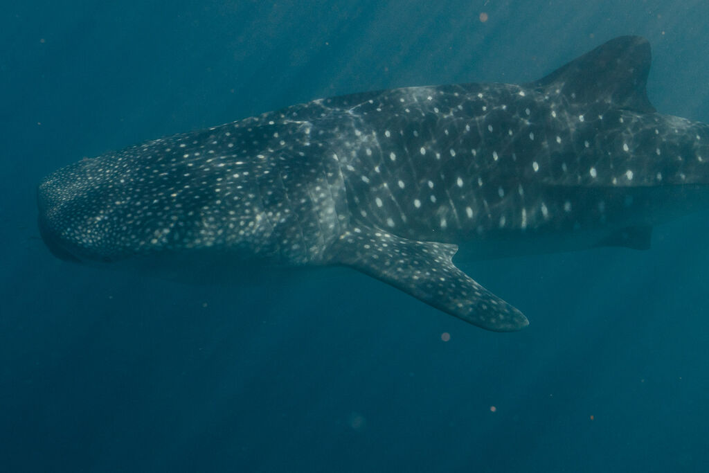 c41e306e-9280-4108-b5b8-98206bceaf22