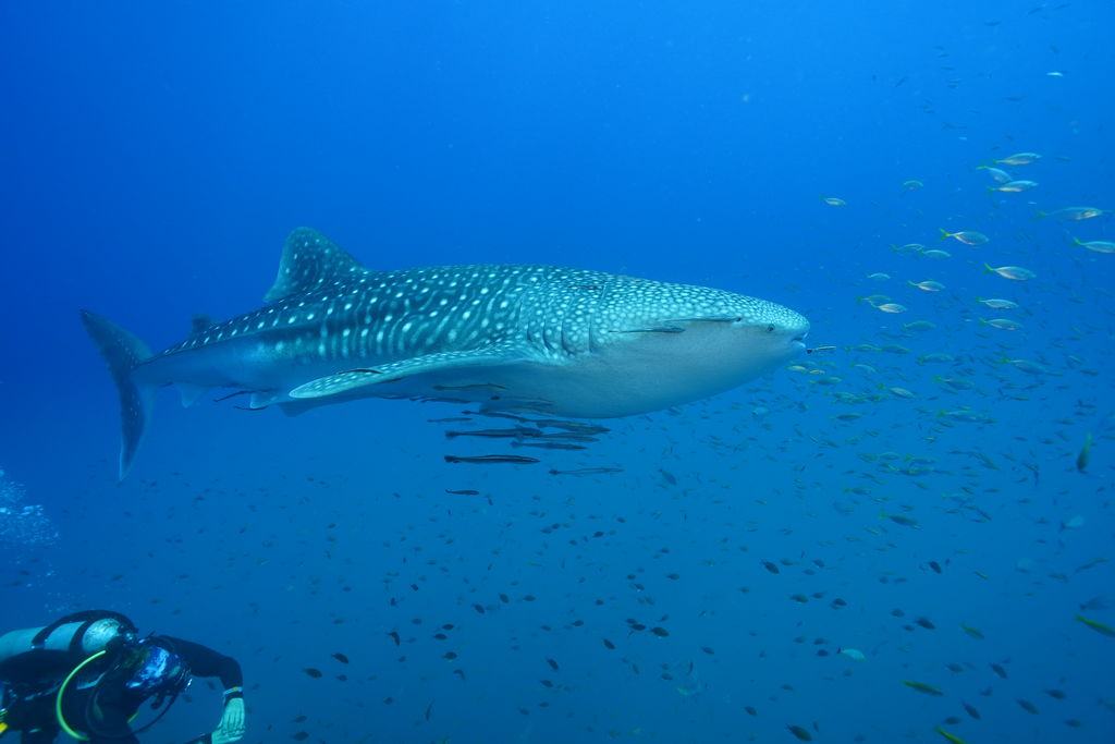 162578c2-eca9-4873-83be-1bb5f12f2a73