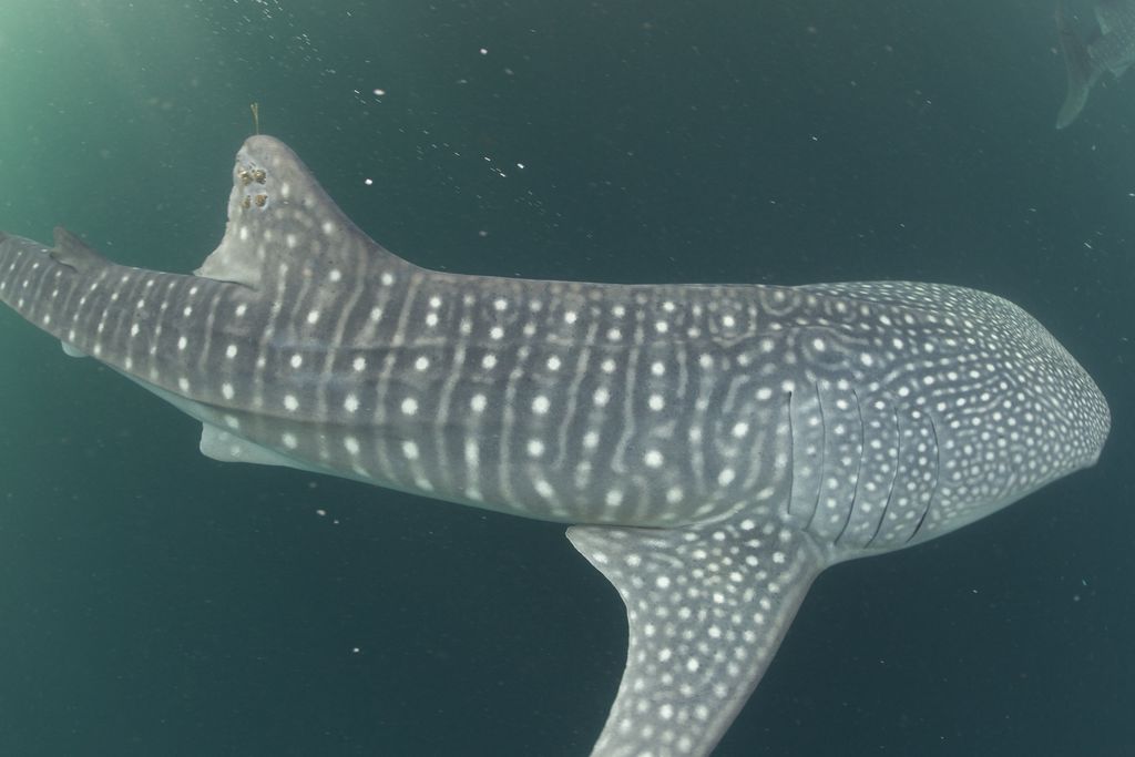 332e5f95-2240-42ff-8022-d7f0362291f8