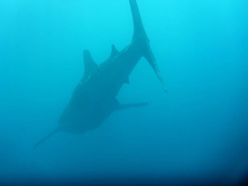 8594265b-c5d5-48d3-8edb-79279cc9431b